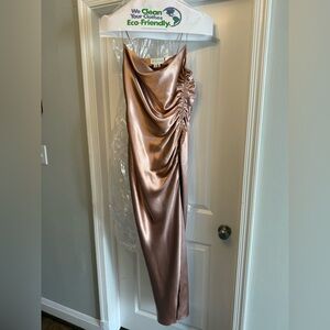 Sachin & Babi Anthropologie Satin Rose Gown Size 10